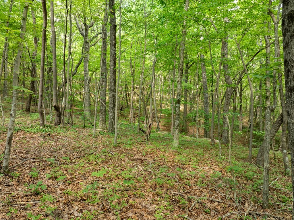 1298 Cold Stream Trail, Jasper GA 30143 - Photo