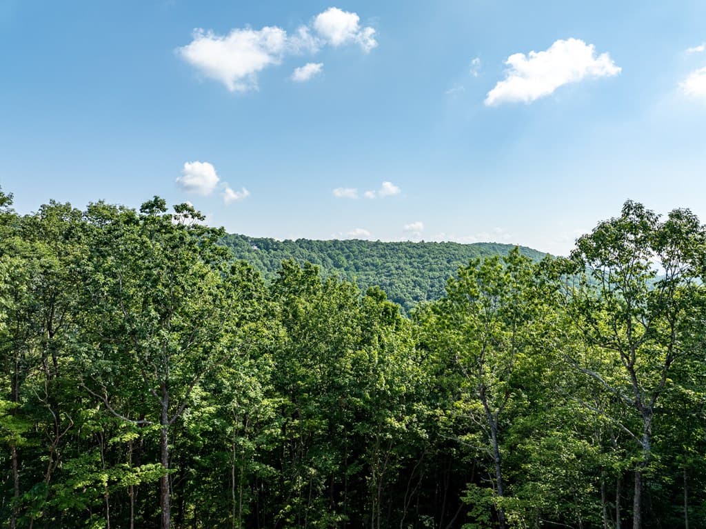 1298 Cold Stream Trail, Jasper GA 30143 - Photo