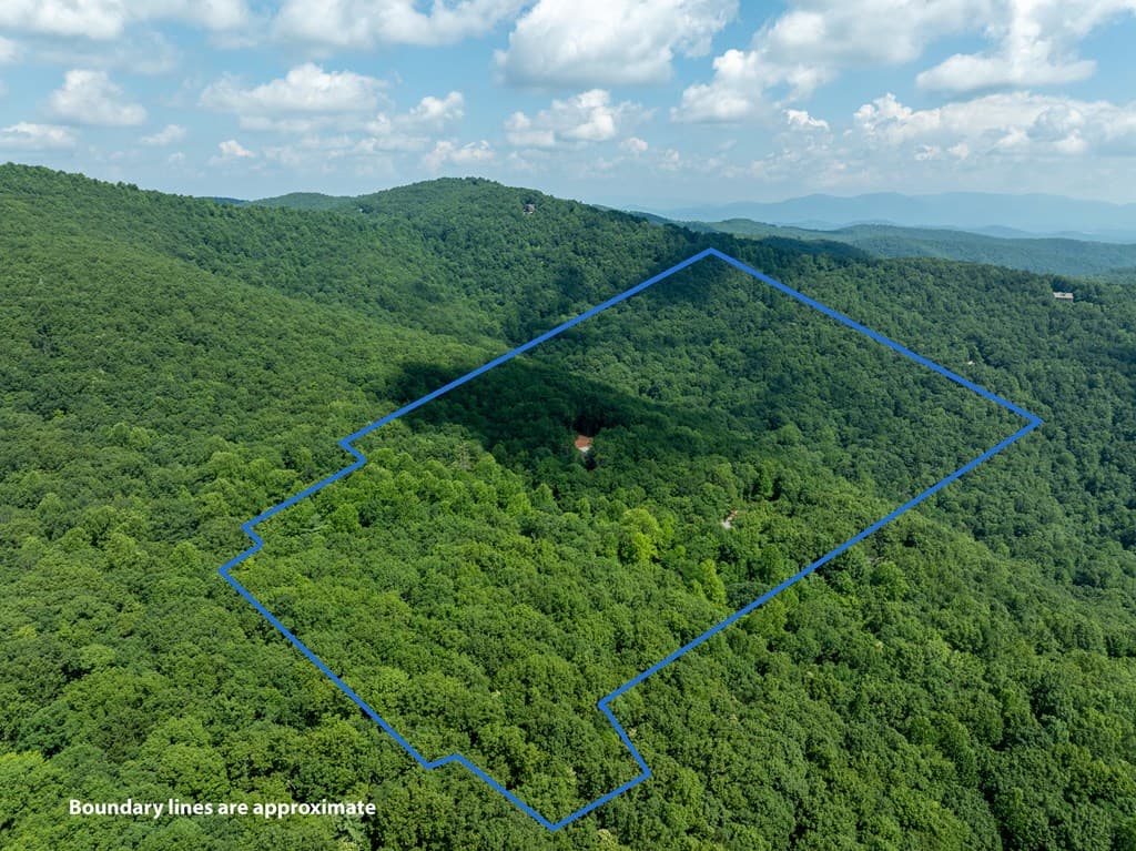 1298 Cold Stream Trail, Jasper GA 30143 - Photo