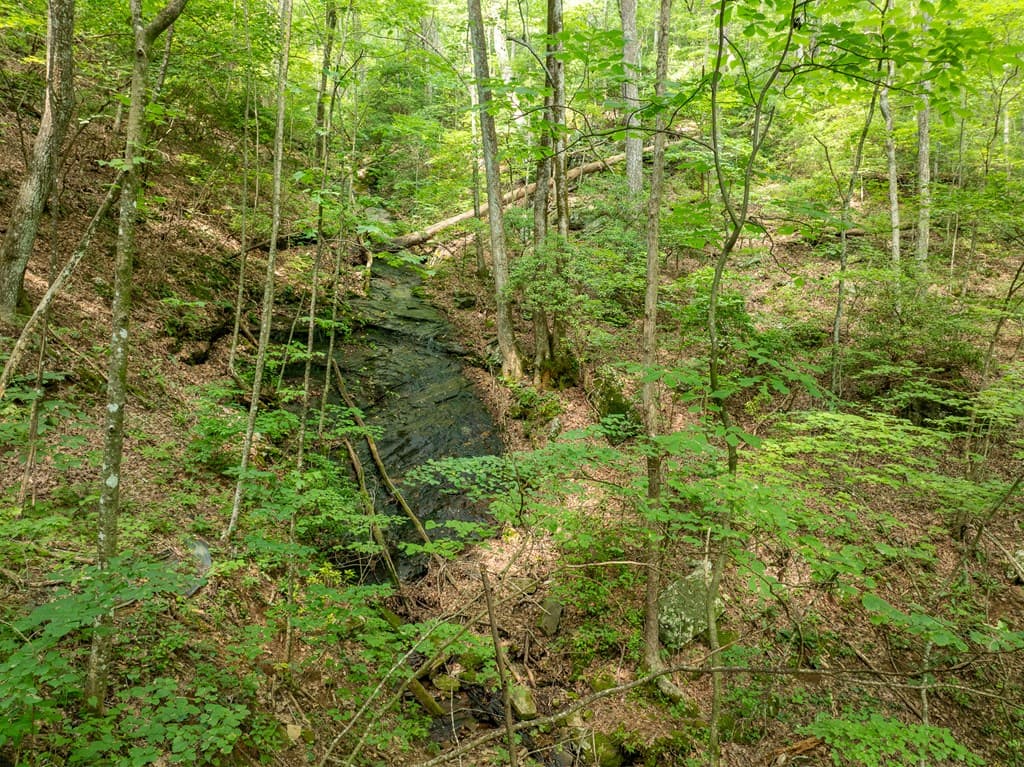 1298 Cold Stream Trail, Jasper GA 30143 - Photo