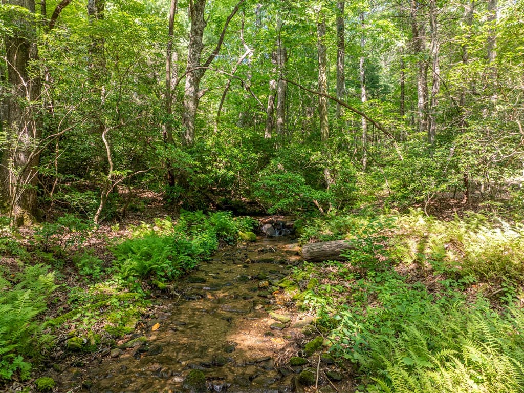 1298 Cold Stream Trail, Jasper GA 30143 - Photo