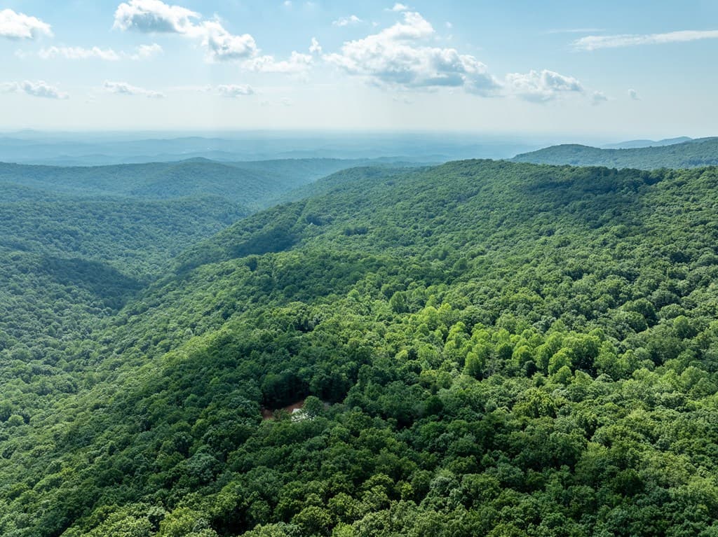 1298 Cold Stream Trail, Jasper GA 30143 - Photo