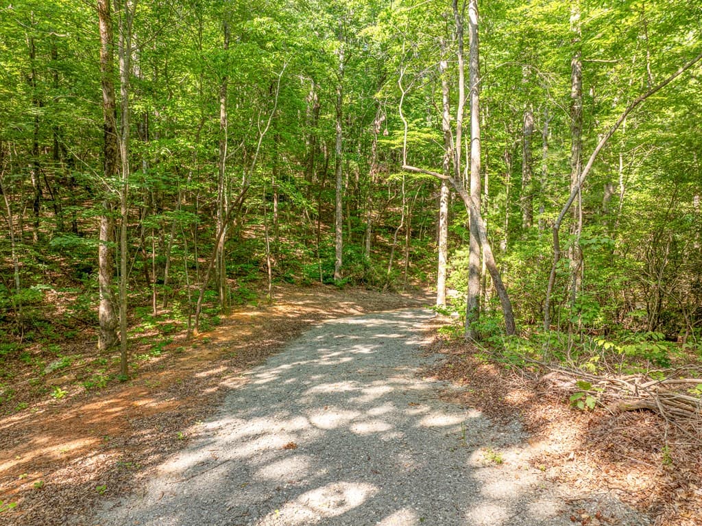 1298 Cold Stream Trail, Jasper GA 30143 - Photo