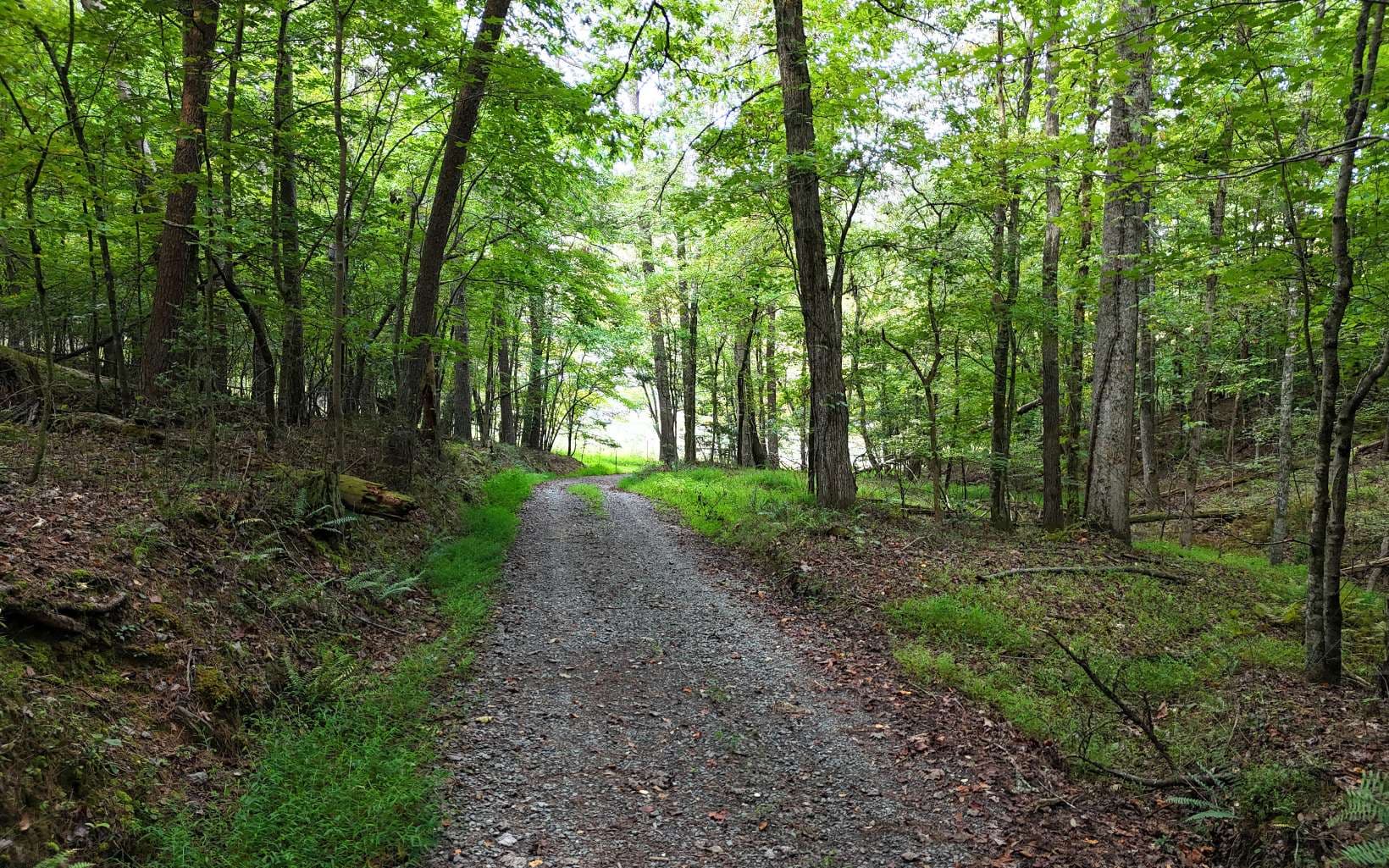 LOT 8 Murphy Lane, Mineral Bluff GA 30559 - Photo