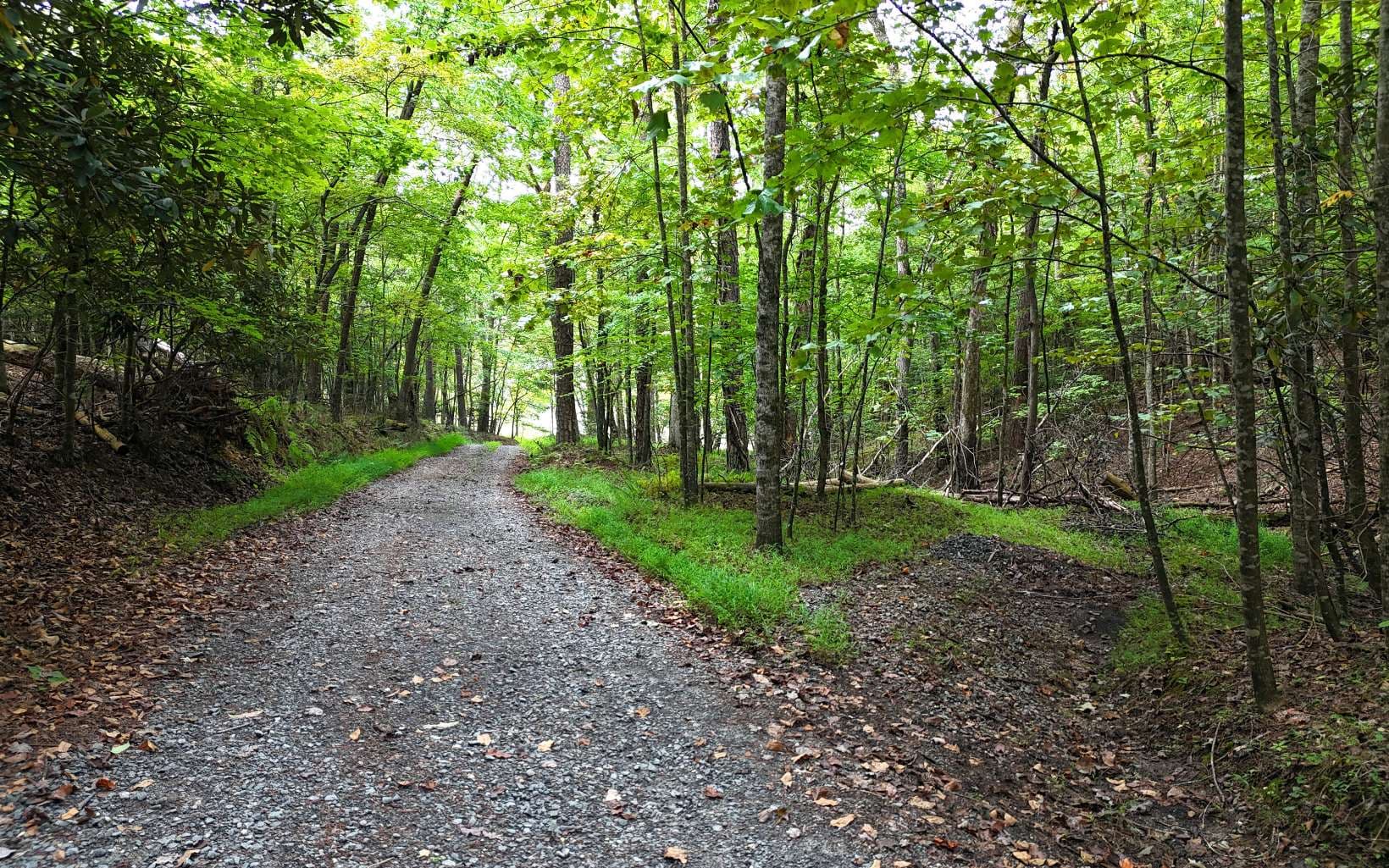 LOT 8 Murphy Lane, Mineral Bluff GA 30559 - Photo