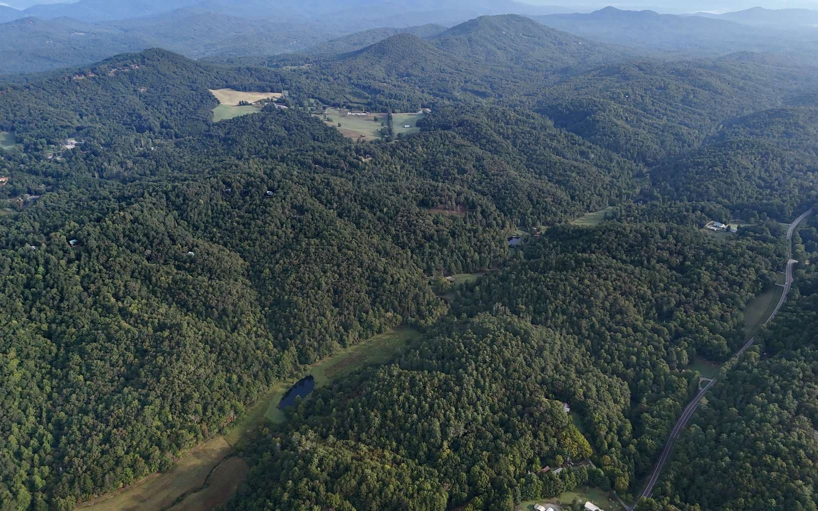 LOT 8 Murphy Lane, Mineral Bluff GA 30559 - Photo