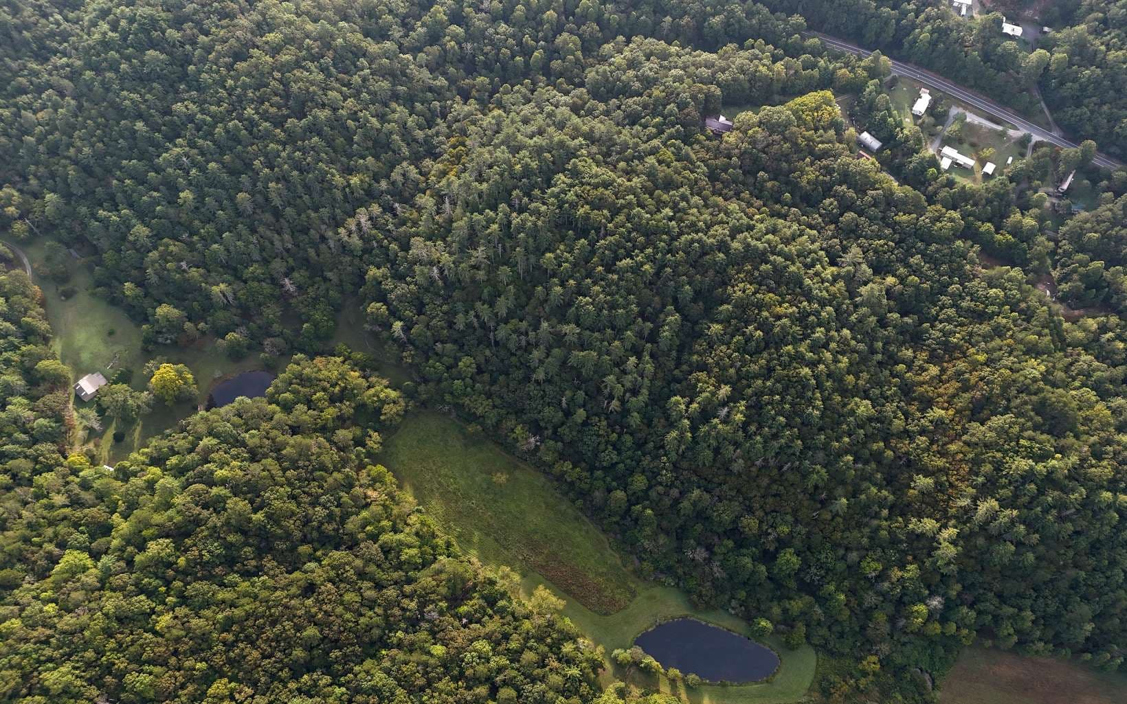 LOT 8 Murphy Lane, Mineral Bluff GA 30559 - Photo