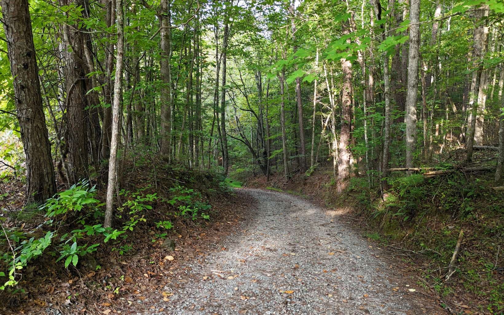 LOT 8 Murphy Lane, Mineral Bluff GA 30559 - Photo