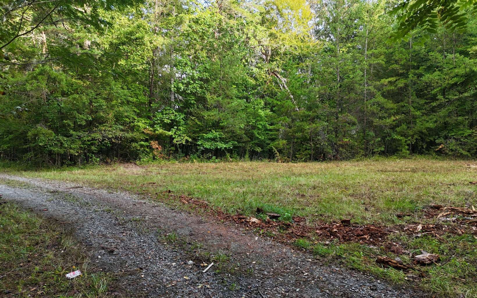 LOT 8 Murphy Lane, Mineral Bluff GA 30559 - Photo