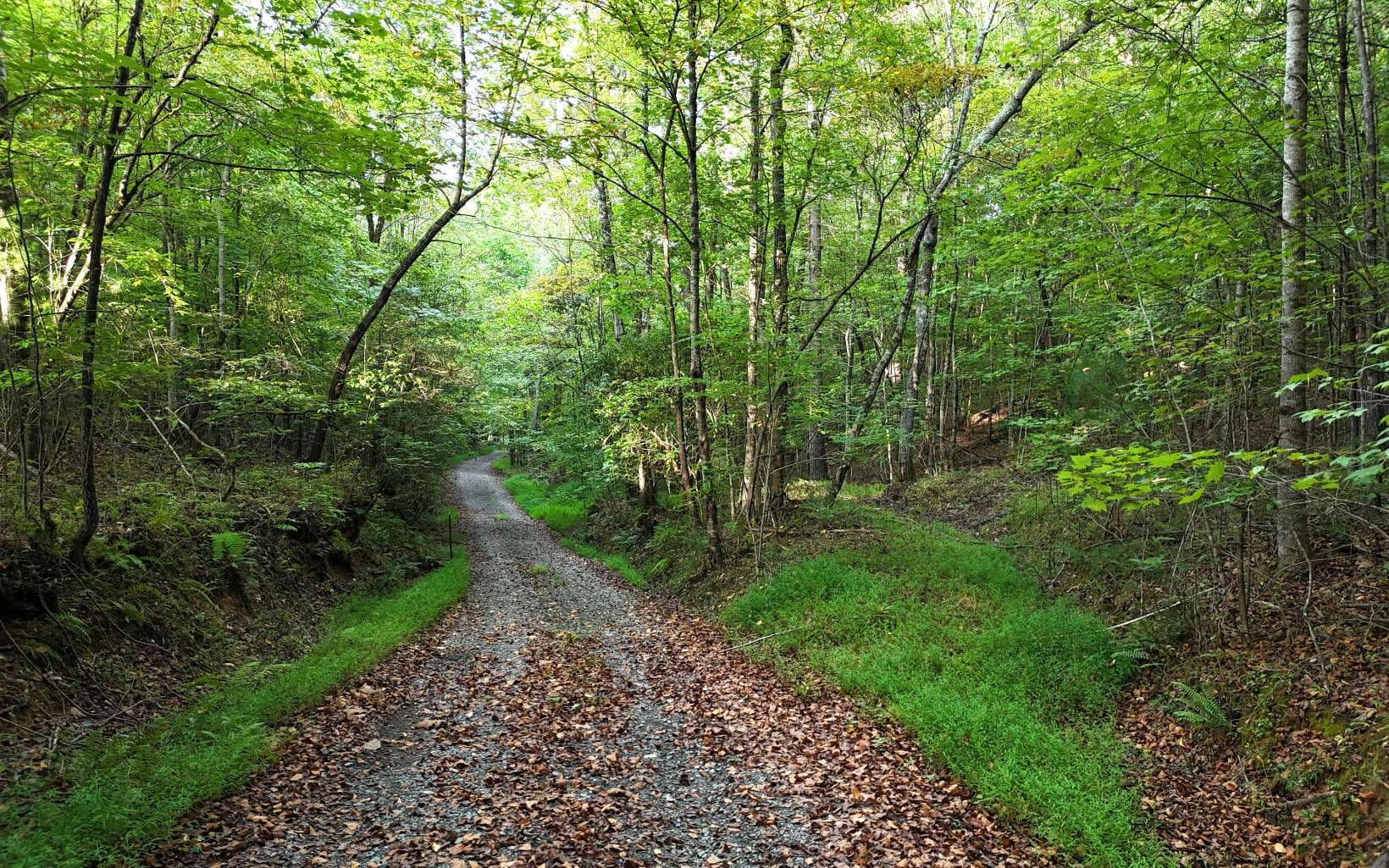 LOT 8 Murphy Lane, Mineral Bluff GA 30559 - Photo