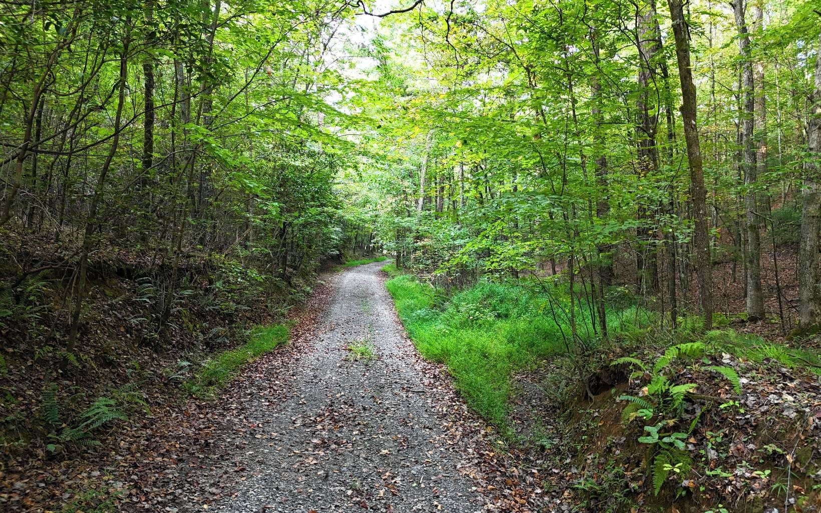 LOT 8 Murphy Lane, Mineral Bluff GA 30559 - Photo