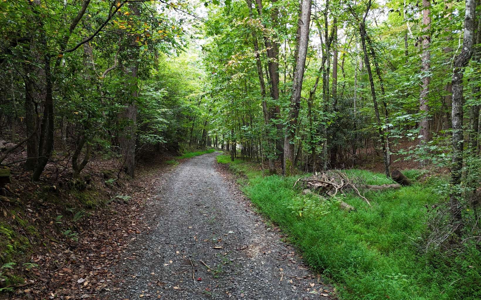LOT 8 Murphy Lane, Mineral Bluff GA 30559 - Photo