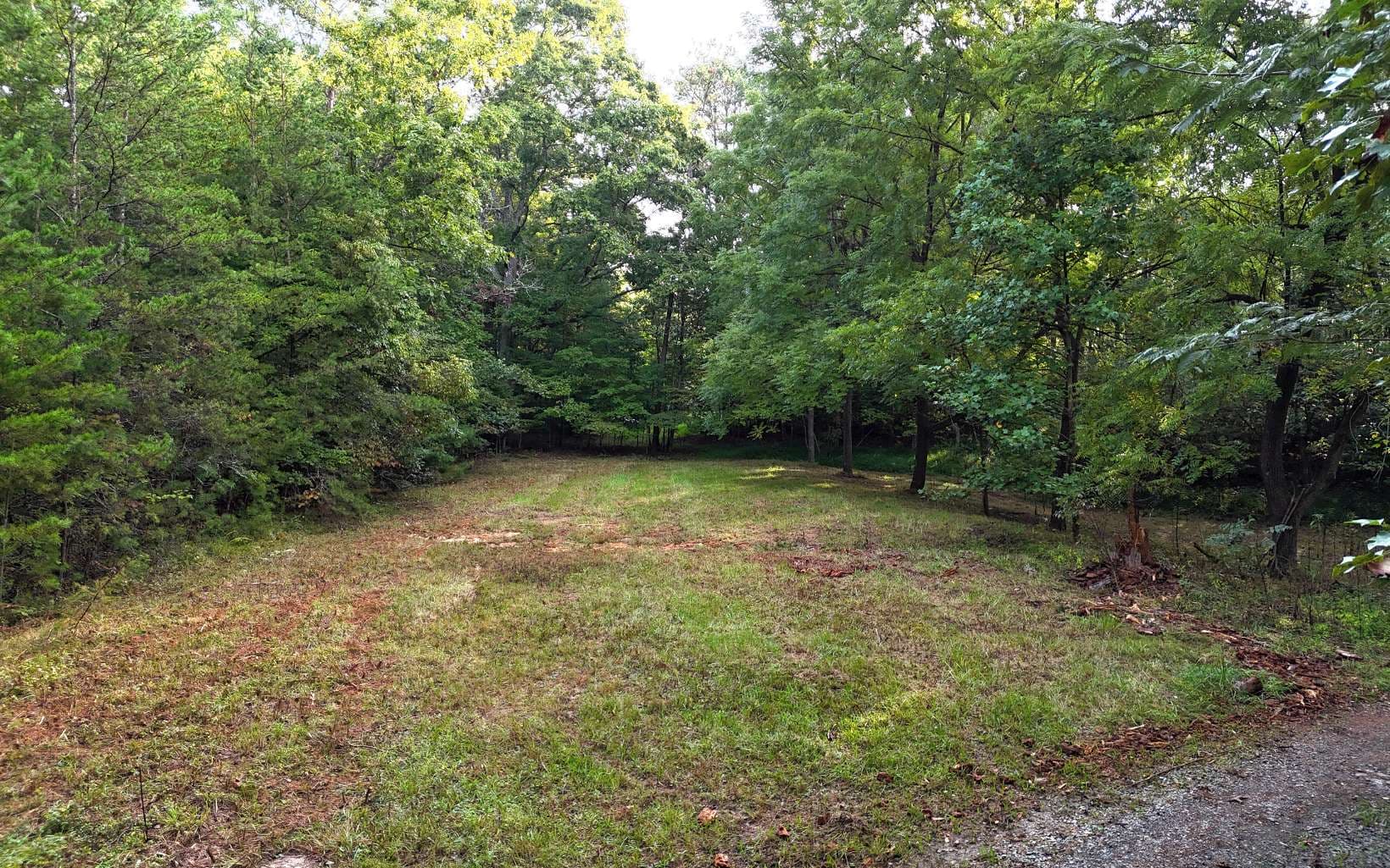 LOT 8 Murphy Lane, Mineral Bluff GA 30559 - Photo