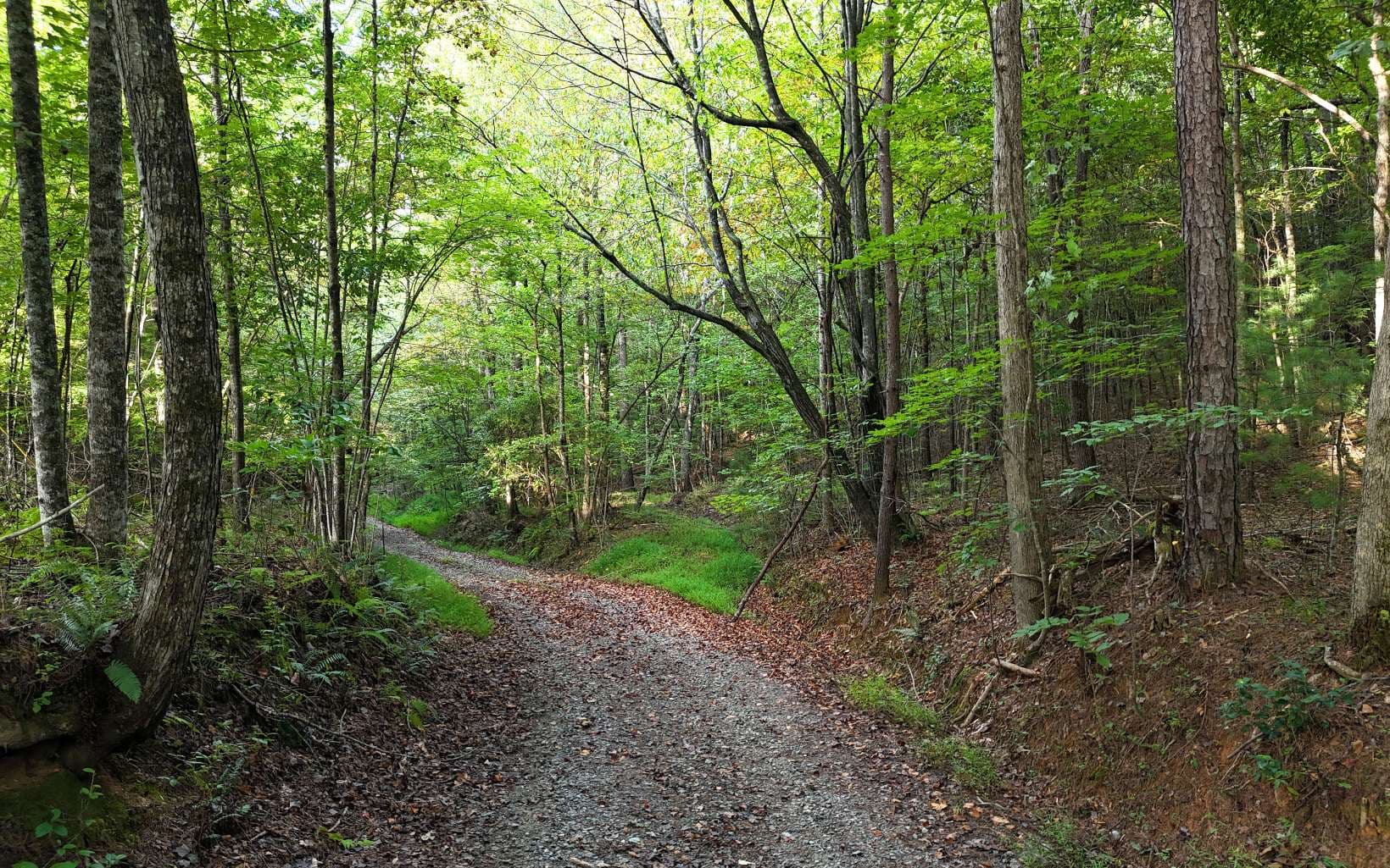 LOT 8 Murphy Lane, Mineral Bluff GA 30559 - Photo
