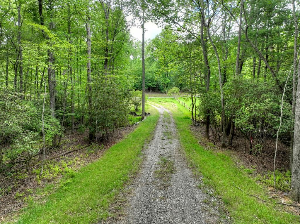 1696 Rocky Top Road, Blairsville GA 30512 - Photo