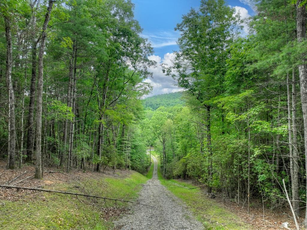 1696 Rocky Top Road, Blairsville GA 30512 - Photo