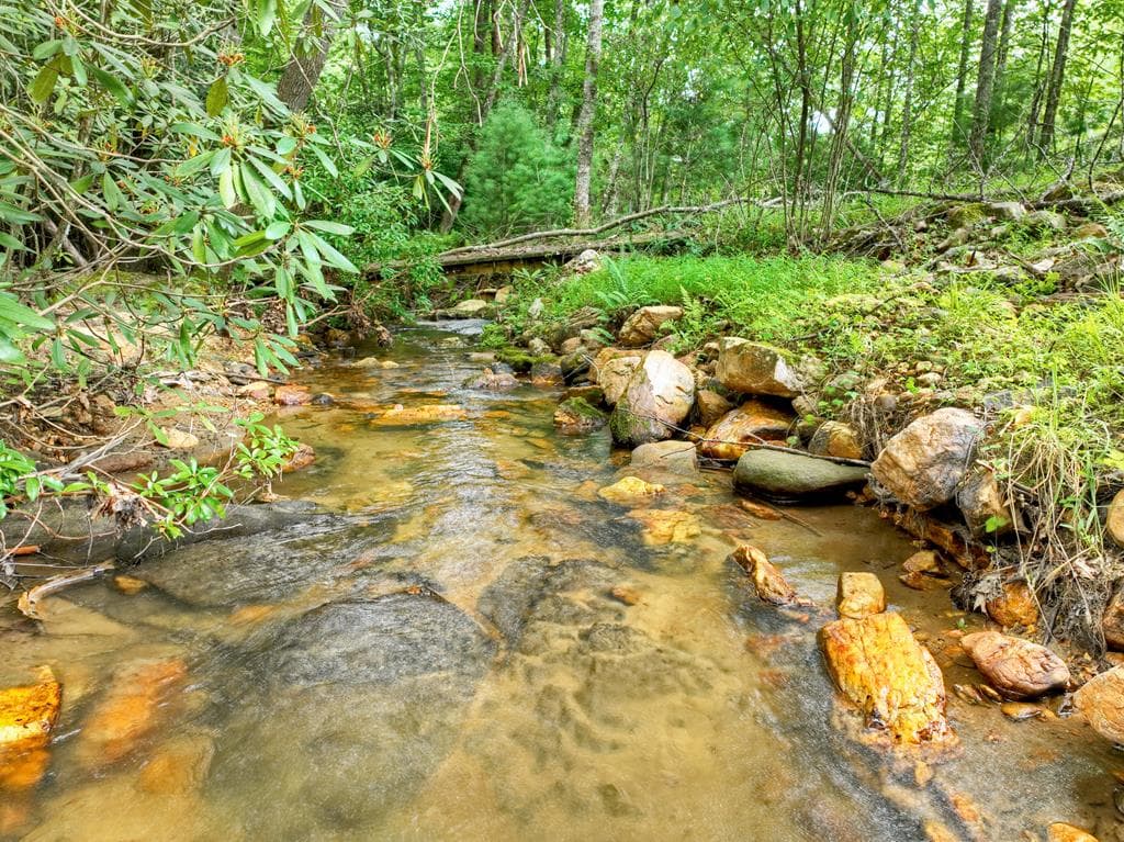 1696 Rocky Top Road, Blairsville GA 30512 - Photo