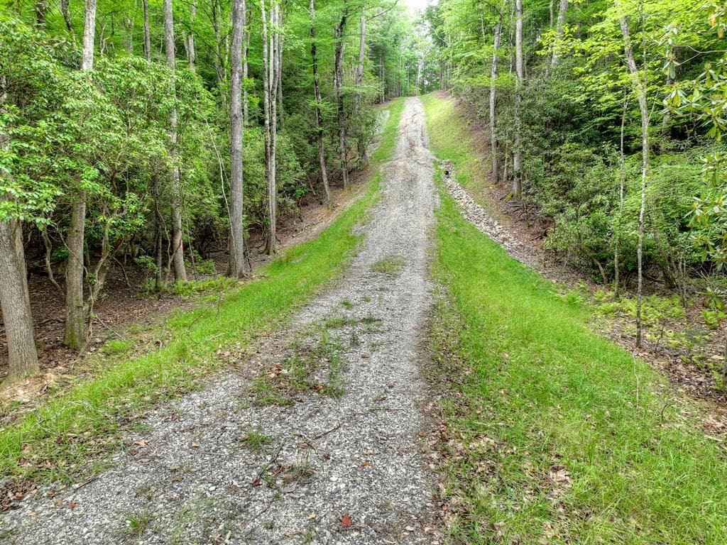 1696 Rocky Top Road, Blairsville GA 30512 - Photo