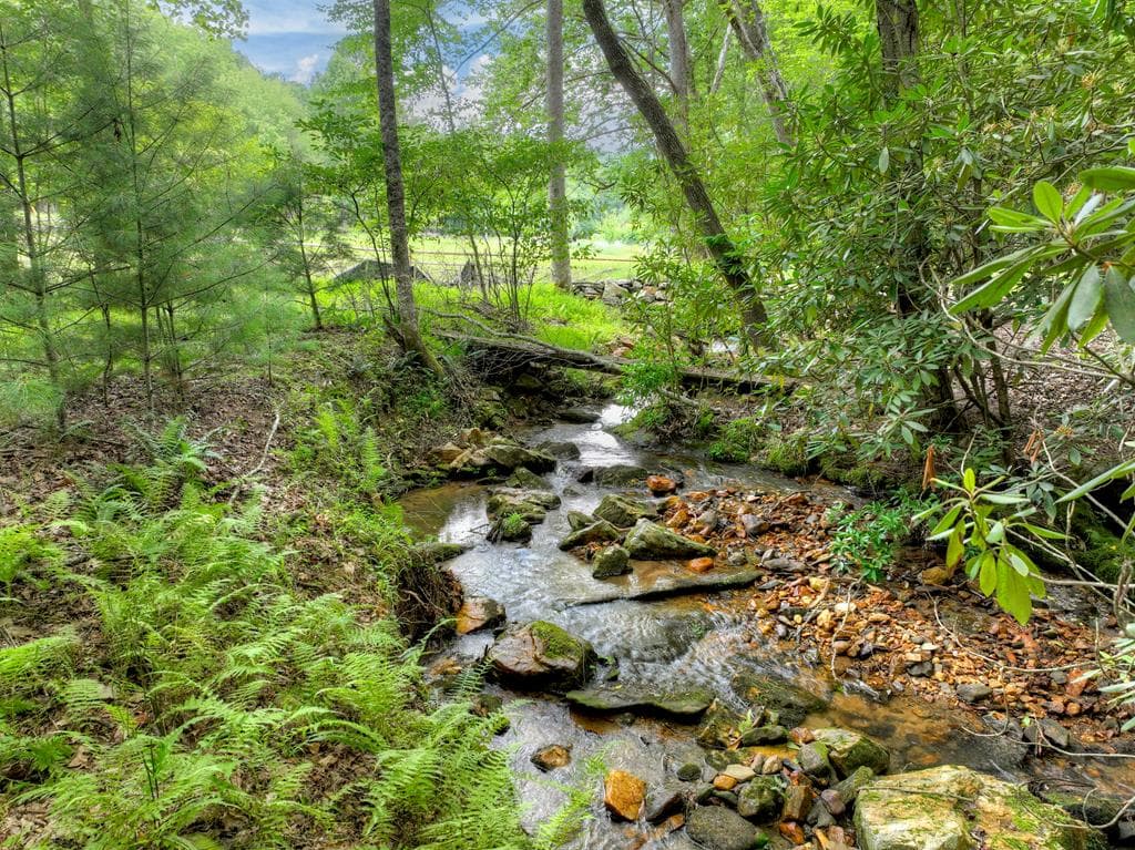 1696 Rocky Top Road, Blairsville GA 30512 - Photo