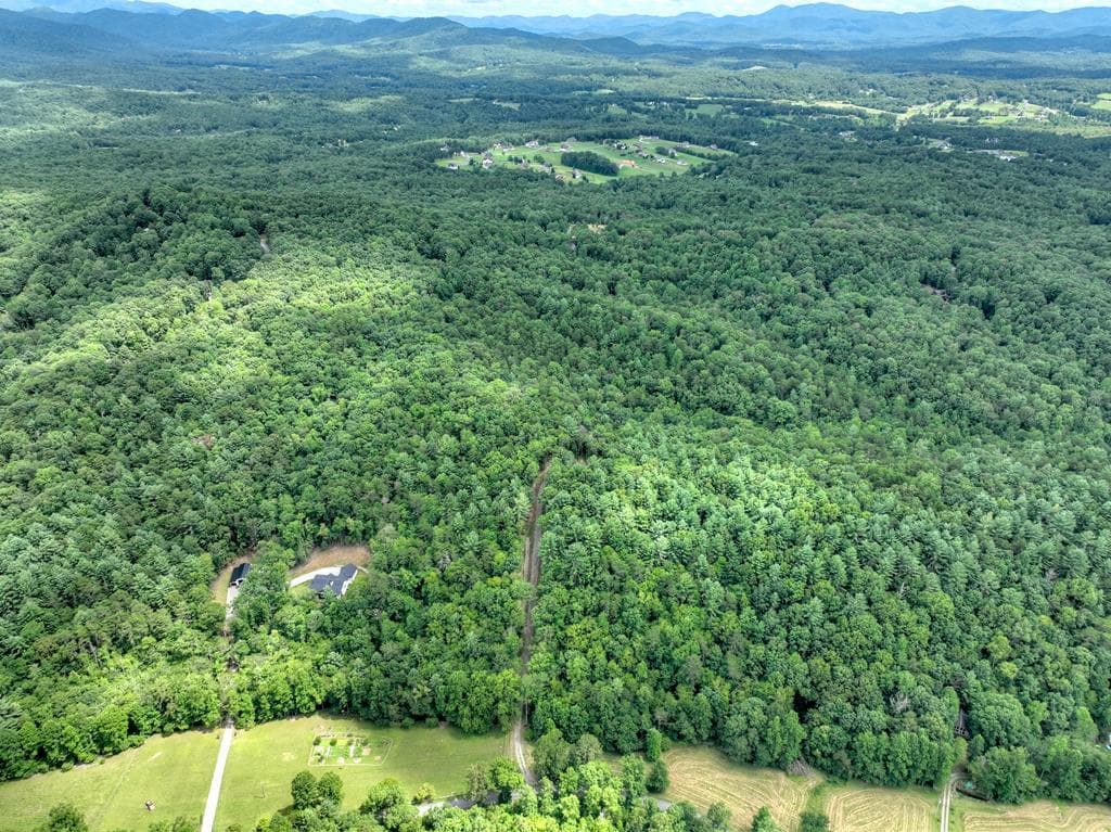 1696 Rocky Top Road, Blairsville GA 30512 - Photo