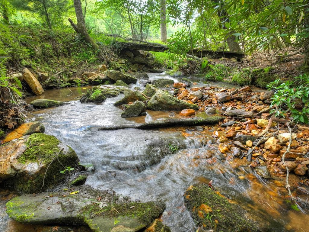 1696 Rocky Top Road, Blairsville GA 30512 - Photo