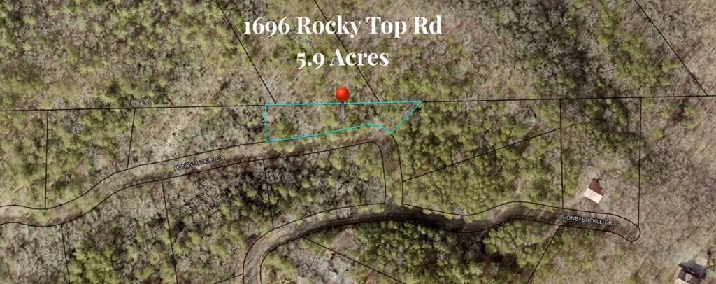 1696 Rocky Top Road, Blairsville GA 30512 - Photo