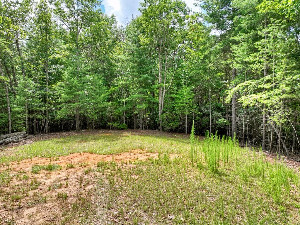 1696 Rocky Top Road, Blairsville GA 30512 - Photo