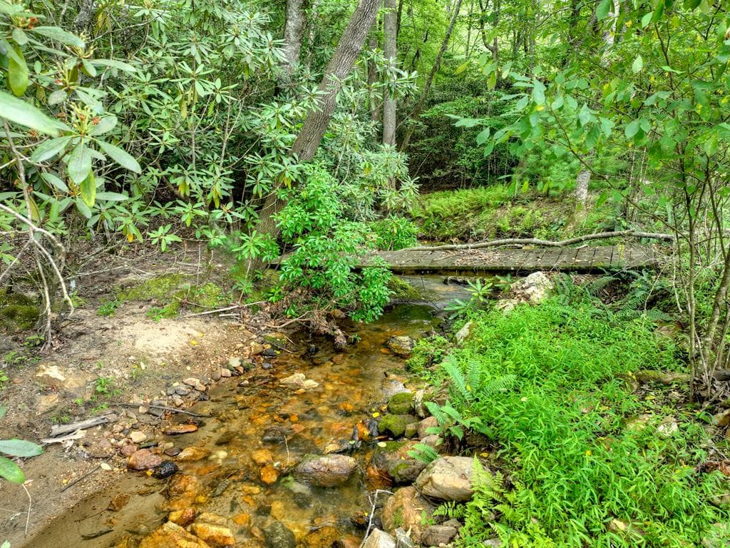 1696 Rocky Top Road, Blairsville GA 30512 - Photo