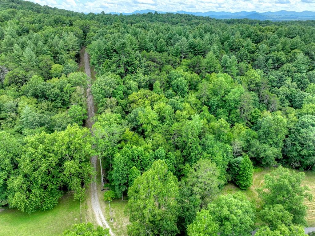 1696 Rocky Top Road, Blairsville GA 30512 - Photo