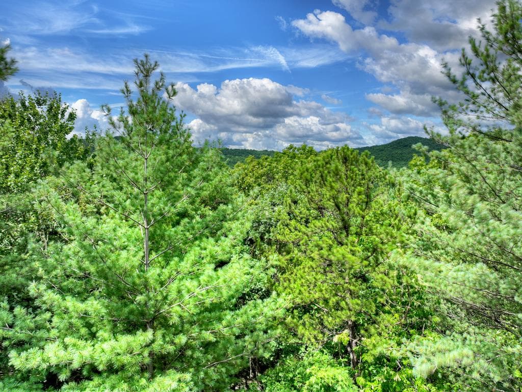1696 Rocky Top Road, Blairsville GA 30512 - Photo