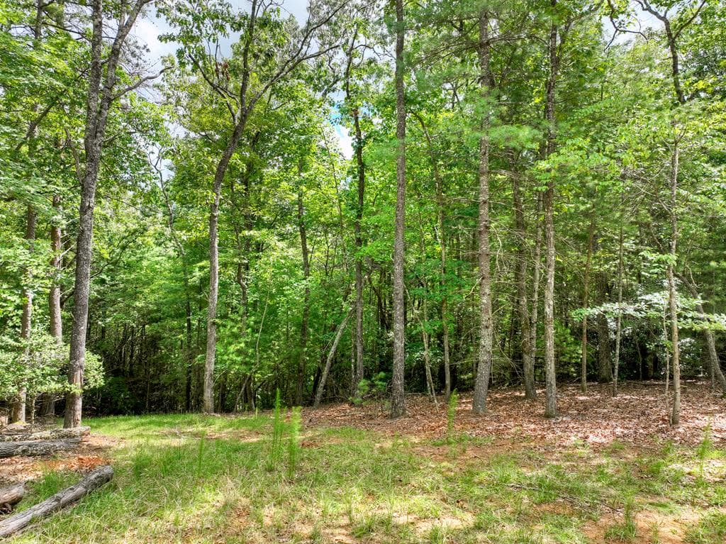 1696 Rocky Top Road, Blairsville GA 30512 - Photo