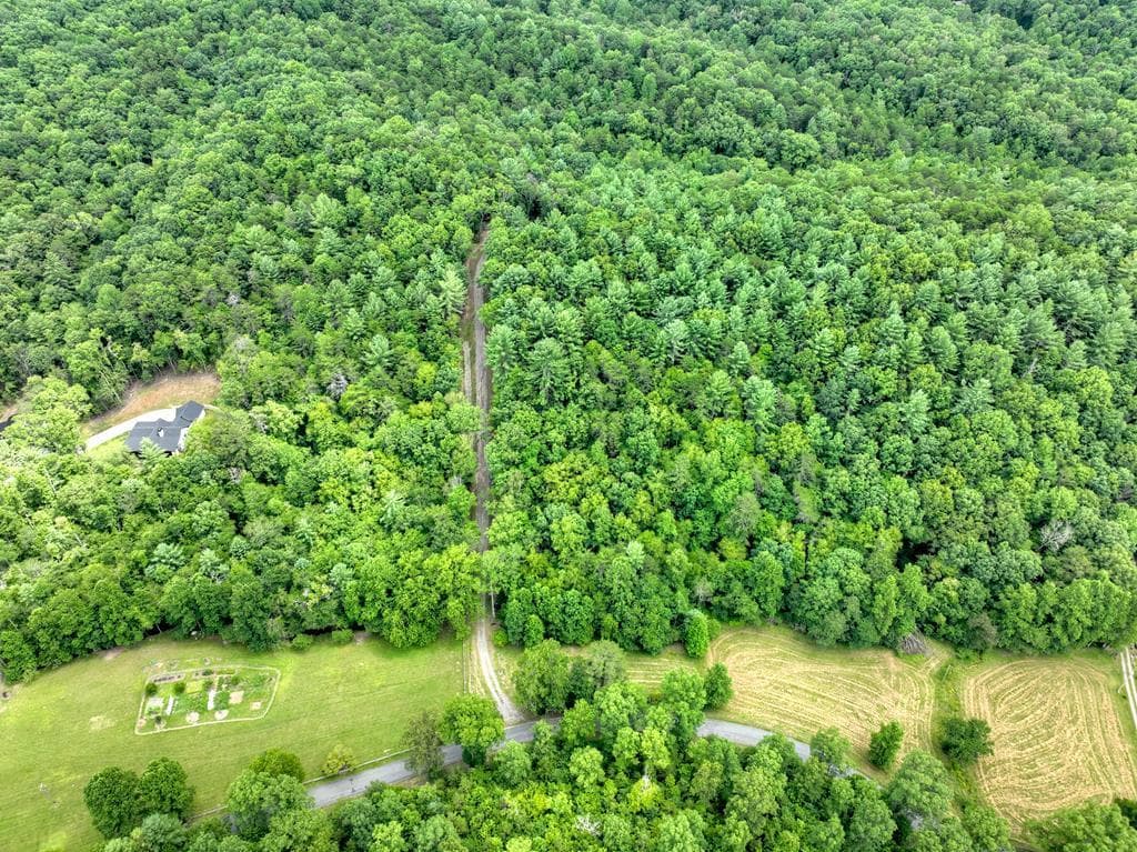 1696 Rocky Top Road, Blairsville GA 30512 - Photo