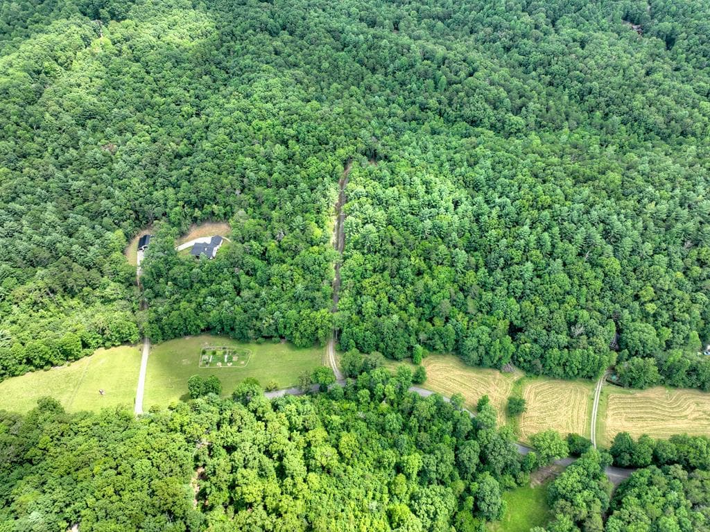 1696 Rocky Top Road, Blairsville GA 30512 - Photo