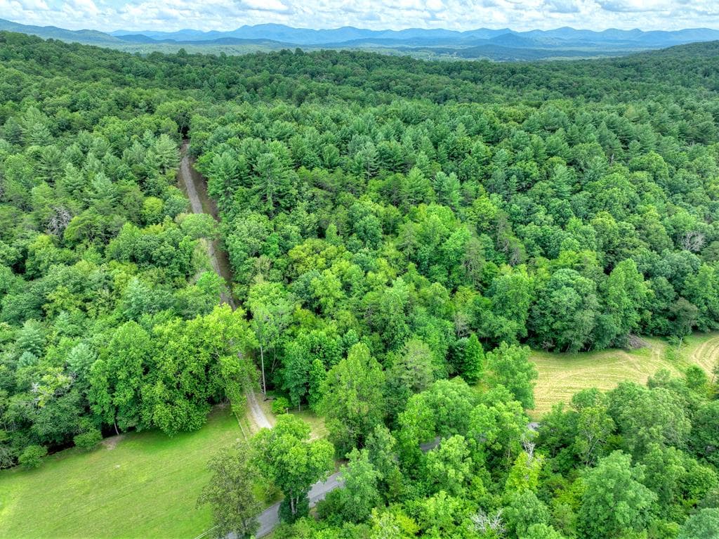 1696 Rocky Top Road, Blairsville GA 30512 - Photo