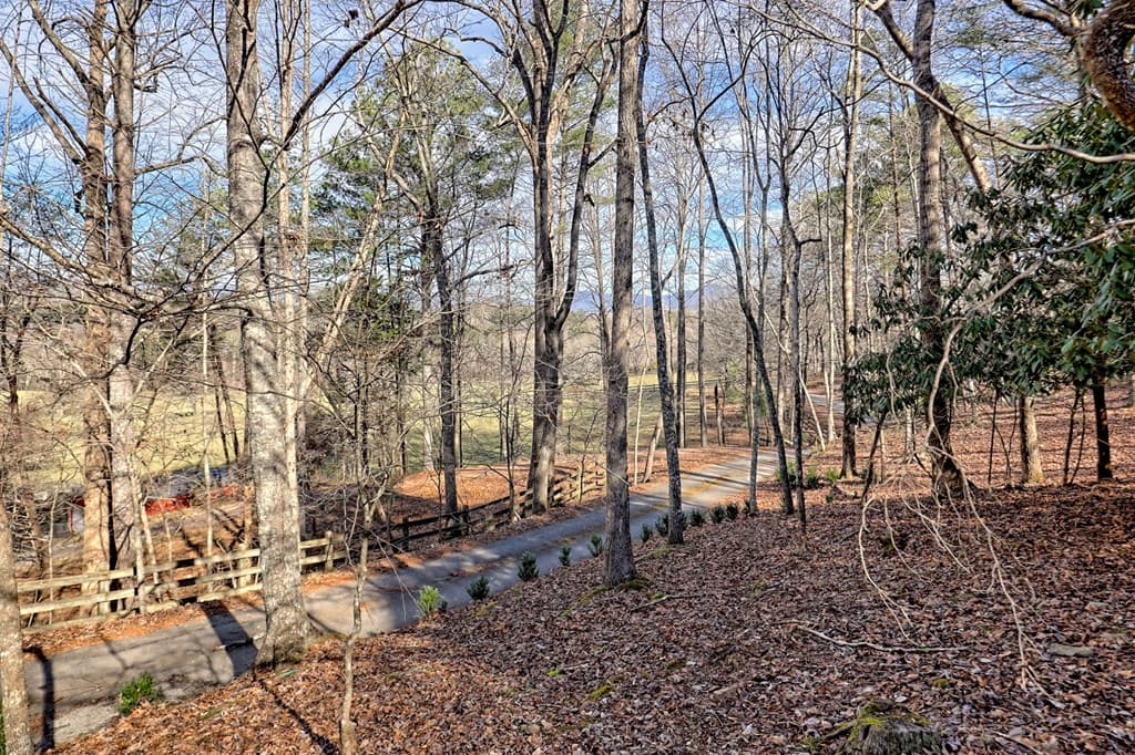 251 Quail Cove Lane, Brasstown NC 28902 - Photo