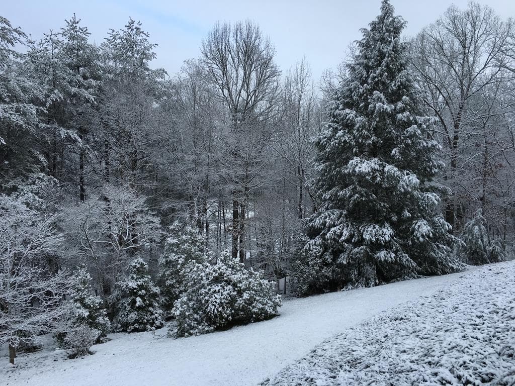 251 Quail Cove Lane, Brasstown NC 28902 - Photo
