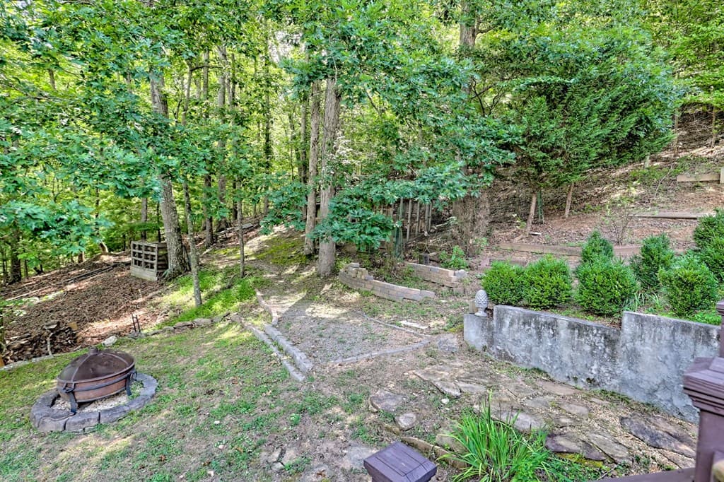 251 Quail Cove Lane, Brasstown NC 28902 - Photo