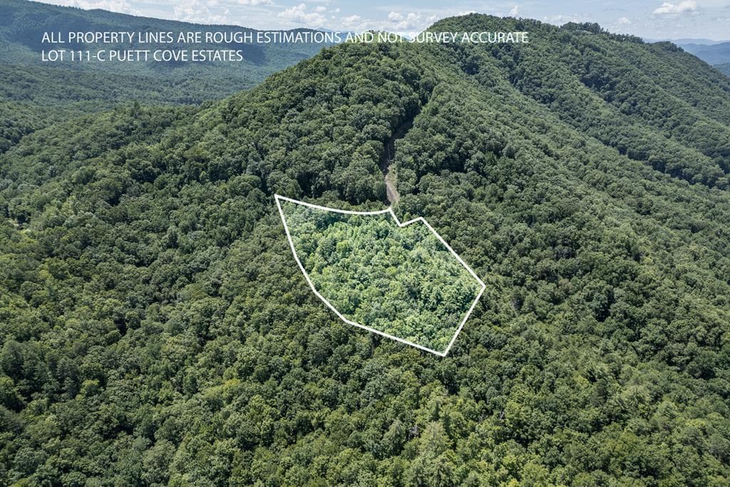 Lot 111C Puett Cove Estates, Marble NC 28905 - Photo