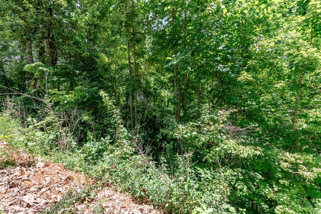 Lot 111C Puett Cove Estates, Marble NC 28905 - Photo
