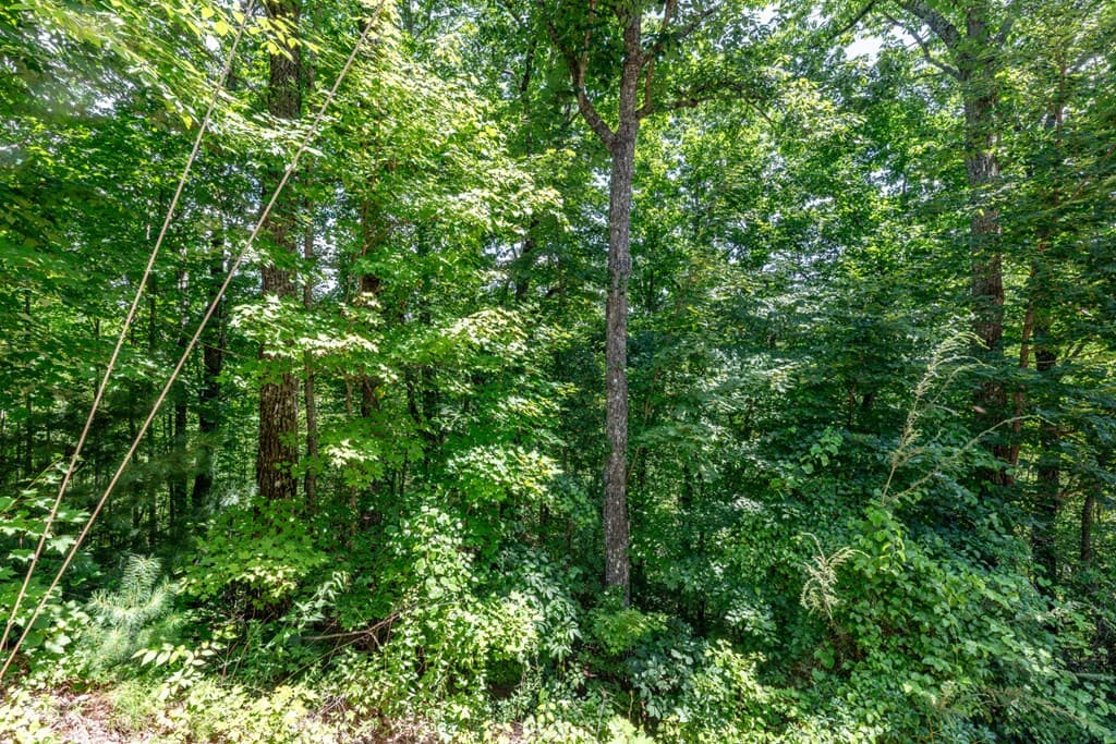 Lot 111C Puett Cove Estates, Marble NC 28905 - Photo