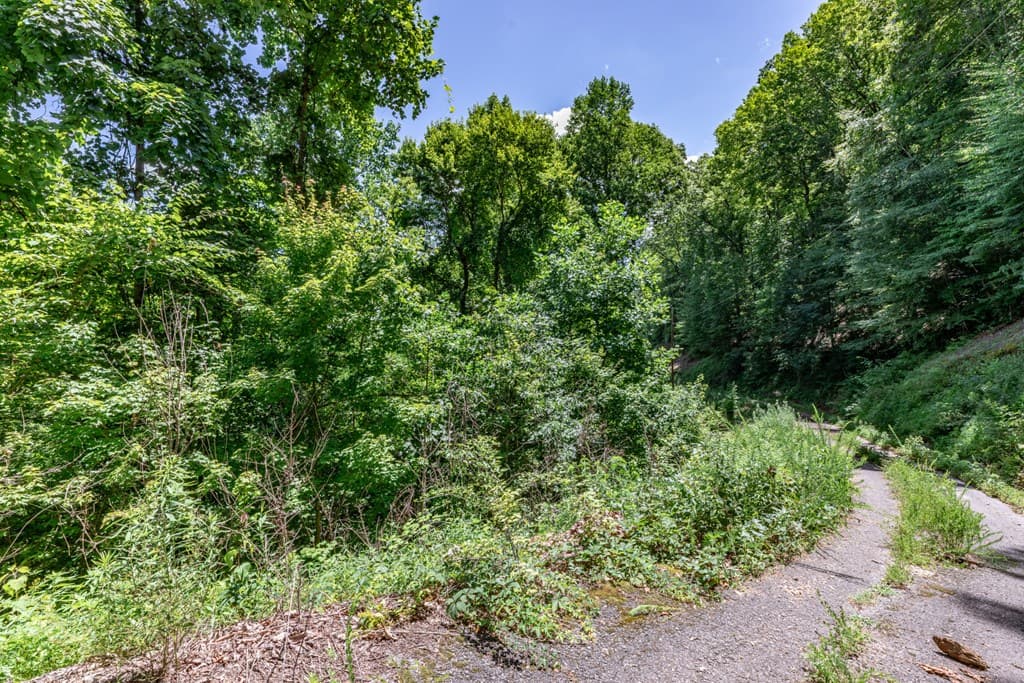 Lot 111C Puett Cove Estates, Marble NC 28905 - Photo