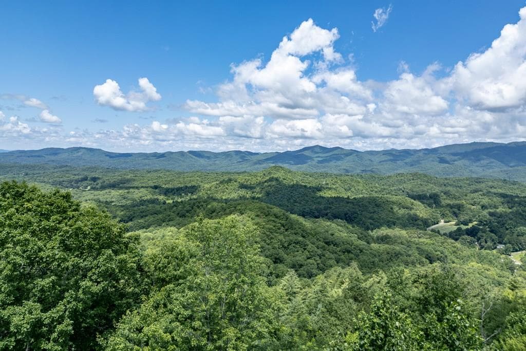 Lot 111C Puett Cove Estates, Marble NC 28905 - Primary photo