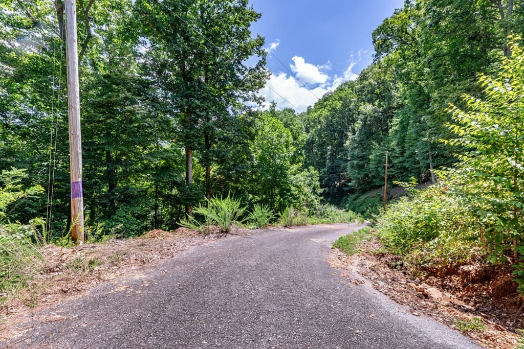 Lot 111C Puett Cove Estates, Marble NC 28905 - Photo