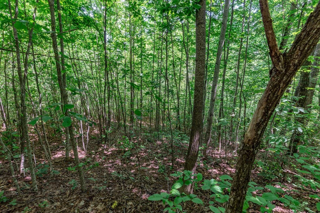 Lot 111C Puett Cove Estates, Marble NC 28905 - Photo