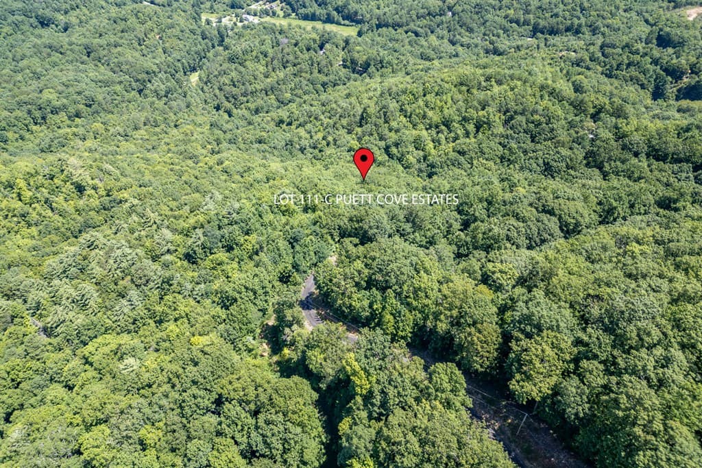 Lot 111C Puett Cove Estates, Marble NC 28905 - Photo