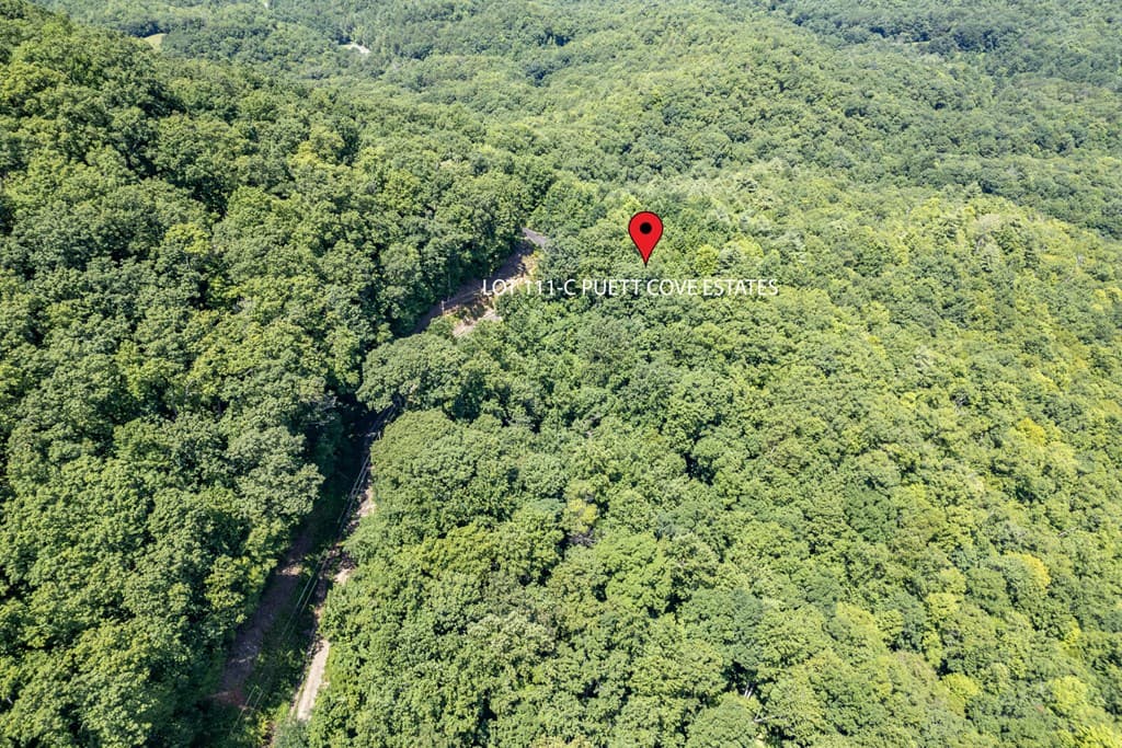 Lot 111C Puett Cove Estates, Marble NC 28905 - Photo