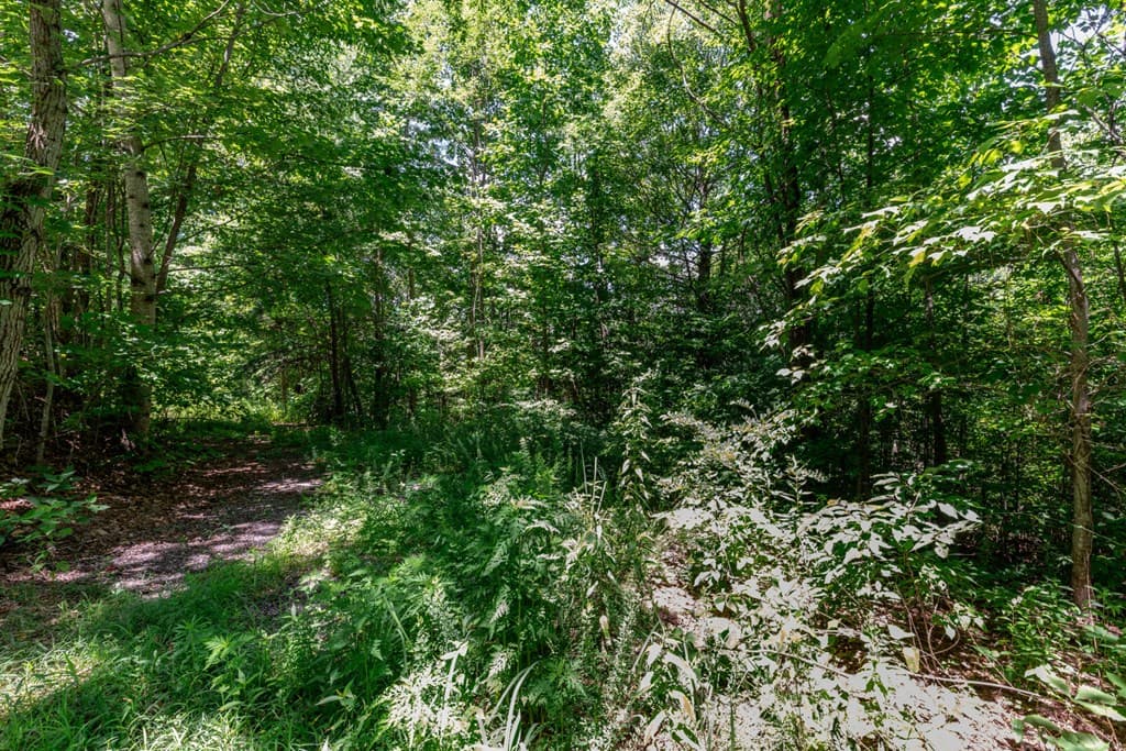 Lot 111C Puett Cove Estates, Marble NC 28905 - Photo