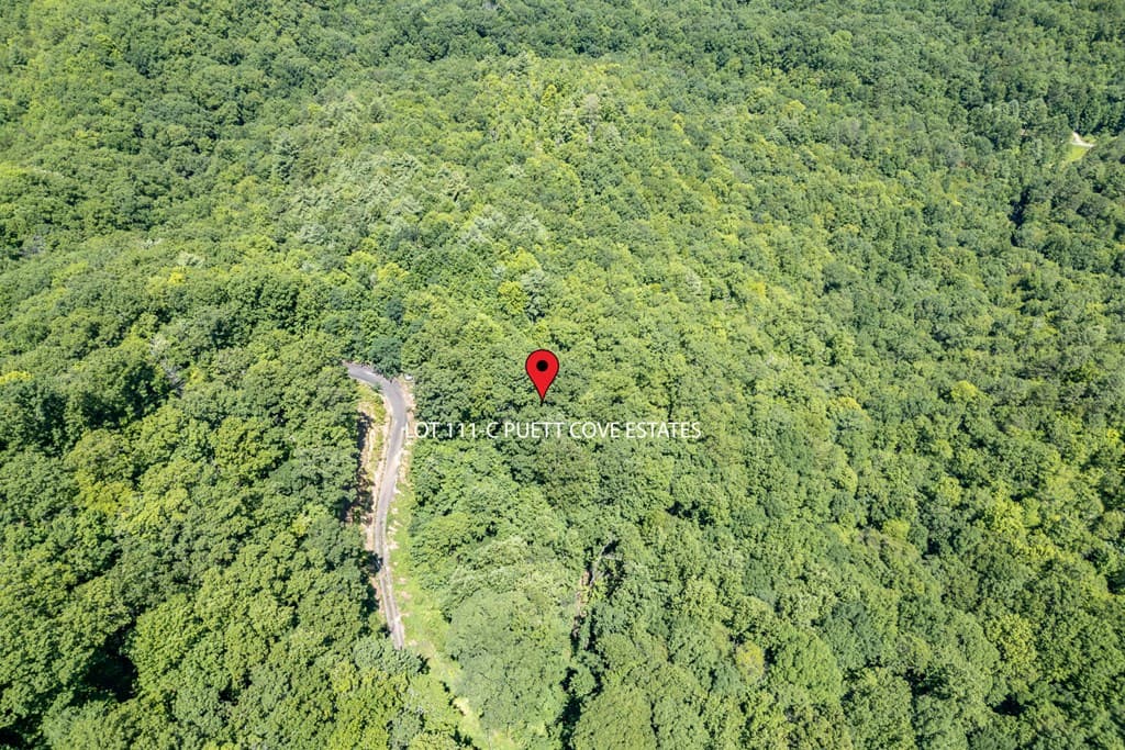 Lot 111C Puett Cove Estates, Marble NC 28905 - Photo