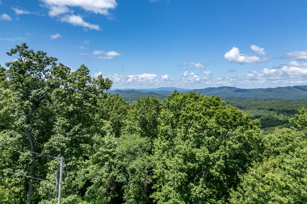 Lot 111C Puett Cove Estates, Marble NC 28905 - Photo