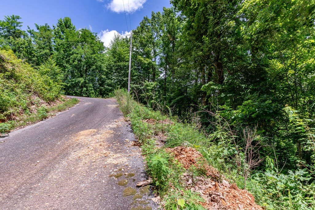Lot 111C Puett Cove Estates, Marble NC 28905 - Photo